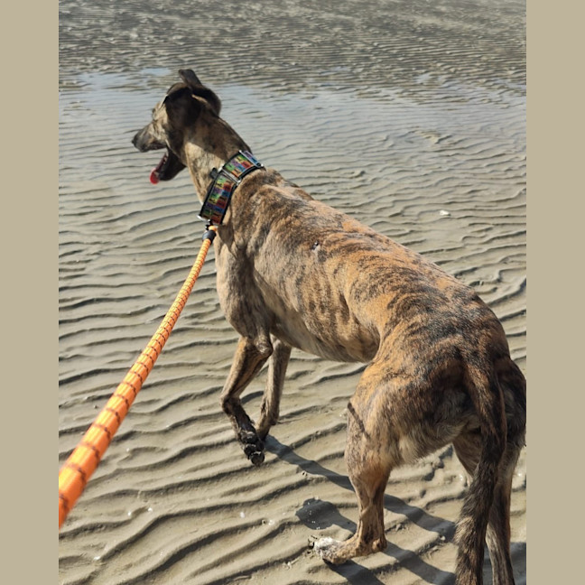 Photo of Hugo