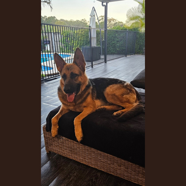 Photo of Shilo