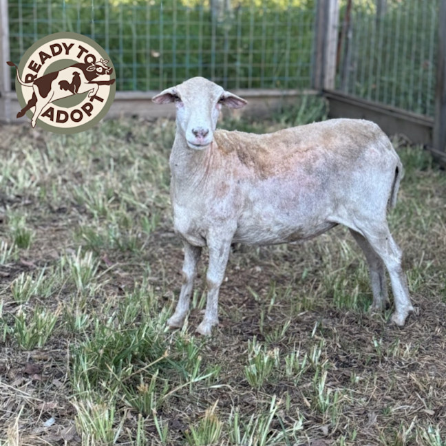 Photo of Thelma & Louise