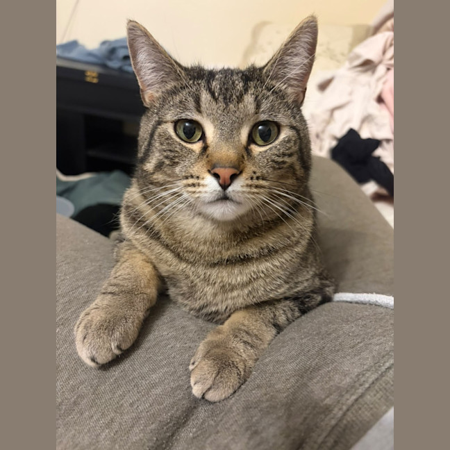 Photo of Tommy