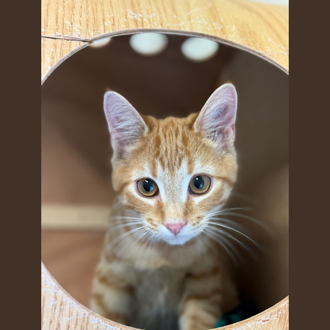 Photo of Fili   Burnie