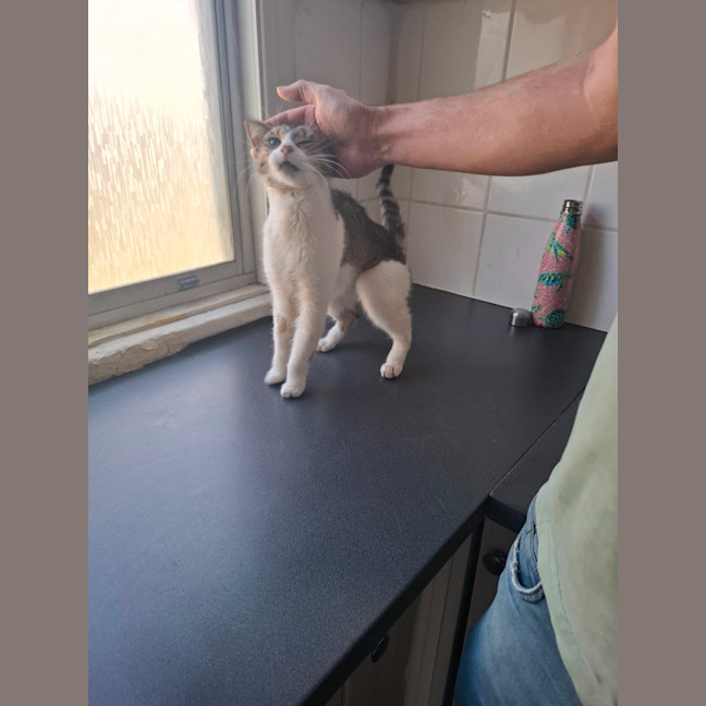 Photo of Squeak