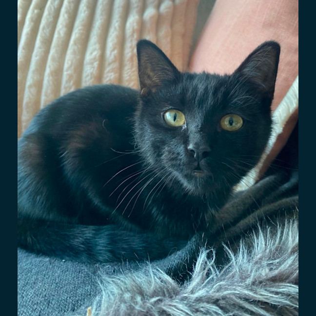 Photo of Bon Bon 
