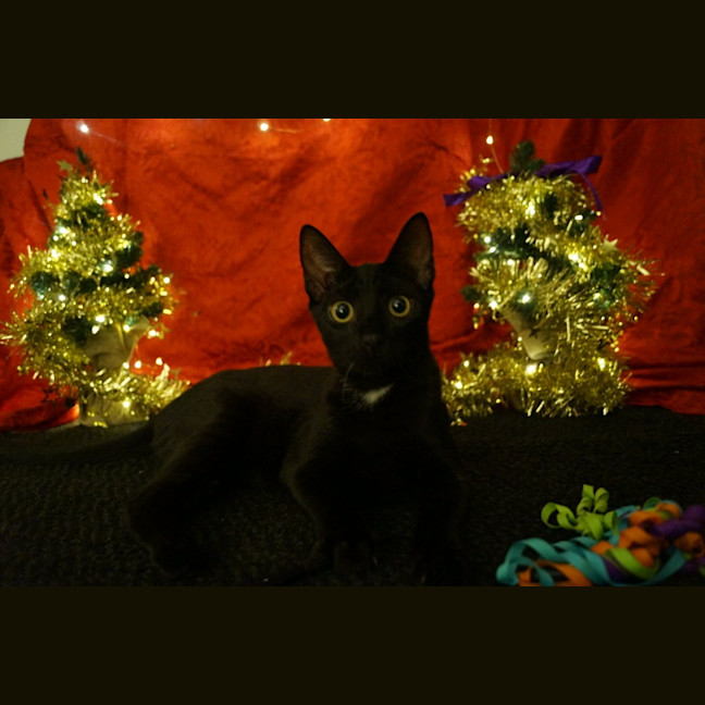 Photo of Clawdia