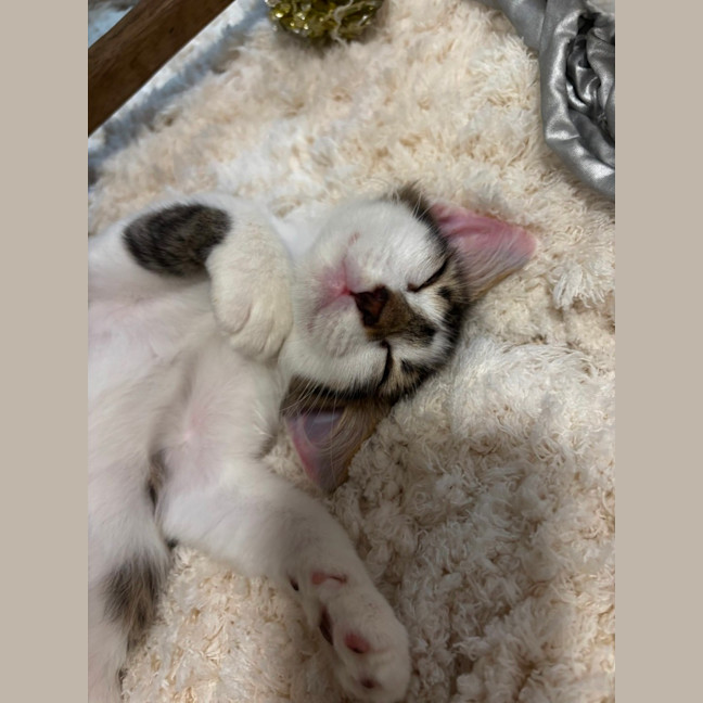 Photo of Ben And Jerry