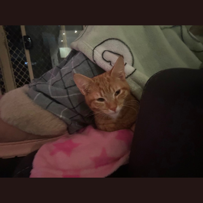 Photo of Edward
