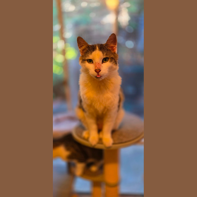 Photo of Bobby