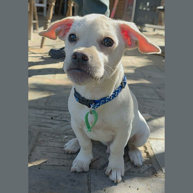 Photo of Banksy