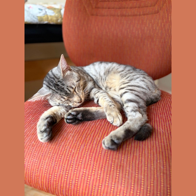 Photo of Mikey And Bob