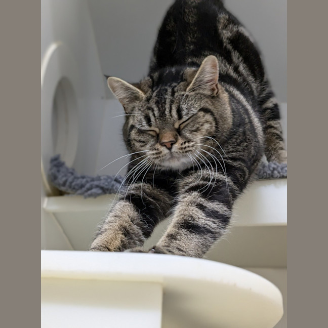 Photo of 🥝 Bindi 5396 🥝