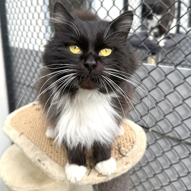 Photo of Murphy