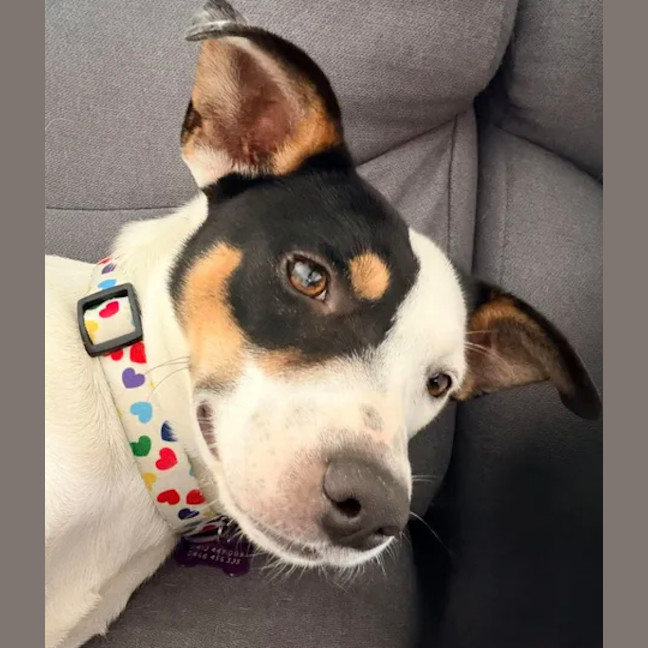 Photo of Heidi