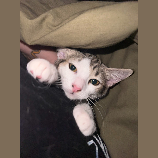 Photo of Lexii