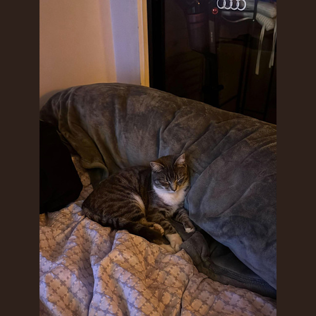 Photo of Gabby