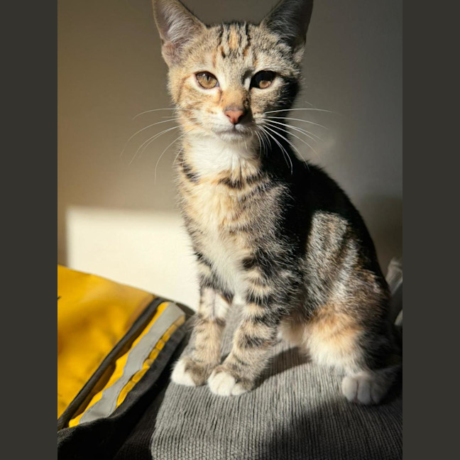 Photo of Anita