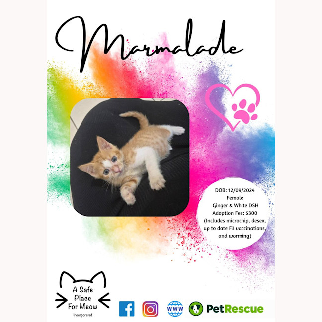 Photo of Marmalade