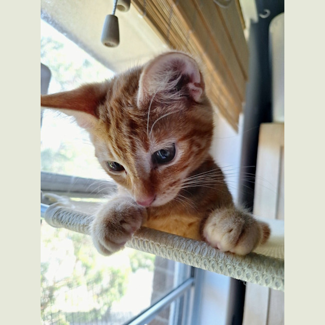 Photo of Mickey