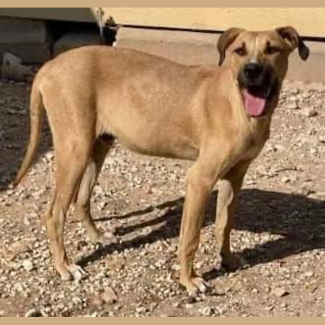 Photo of Gilderoy Lockhart