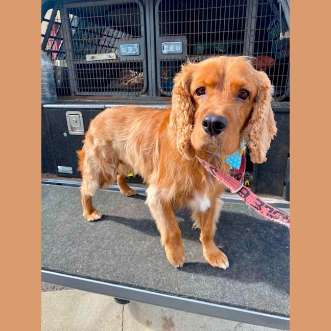 Photo of Tucker