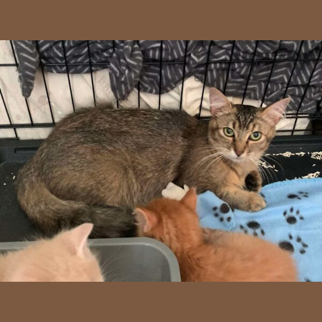 Photo of Emily And Annabelle