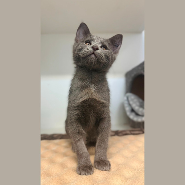 Photo of Wiggles