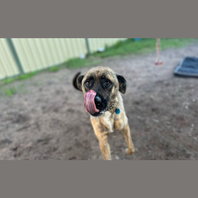 Photo of Sprout