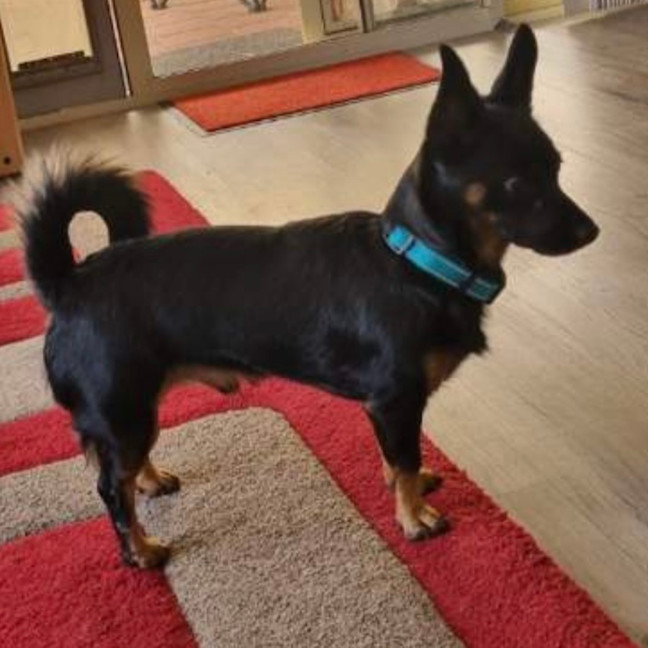 Photo of Henry! Loving, Happy Family Boy 