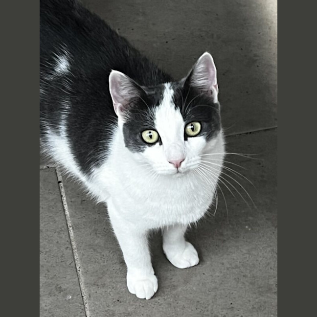 Photo of George