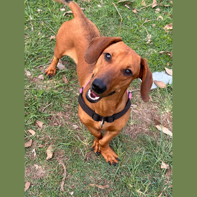 Photo of Charlie