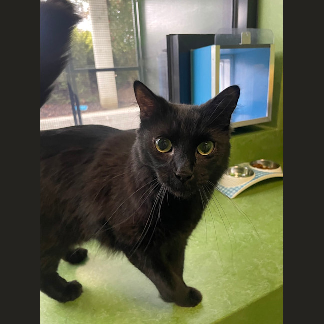 Photo of Zachary Binks