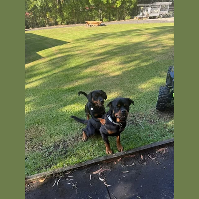 Photo of Zeus
