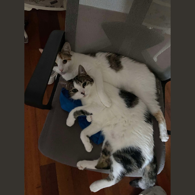 Photo of Shelly And Sandy