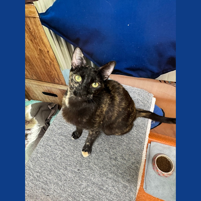 Photo of Dottie