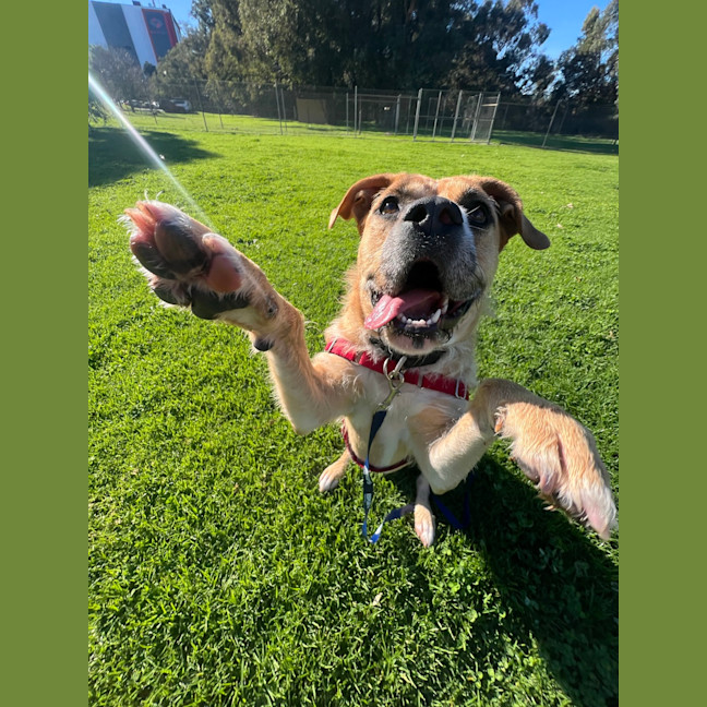 Photo of Tilly