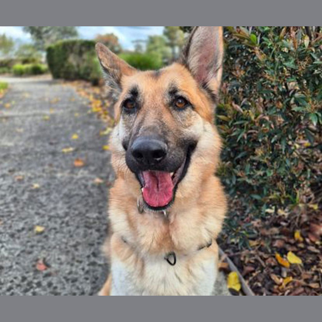 Photo of Heidi