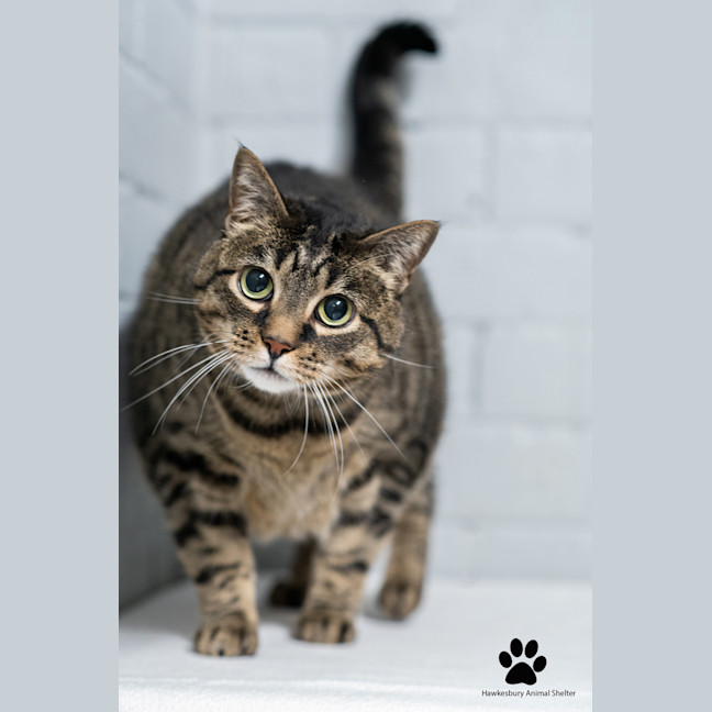 Photo of Turbo