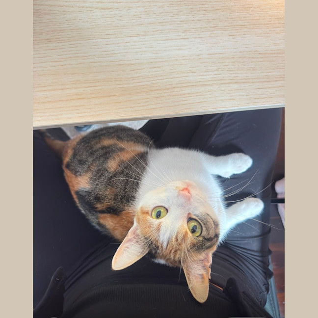 Photo of Pippa