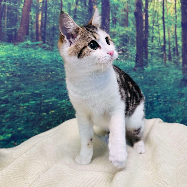 Photo of Garry   Located In Preston