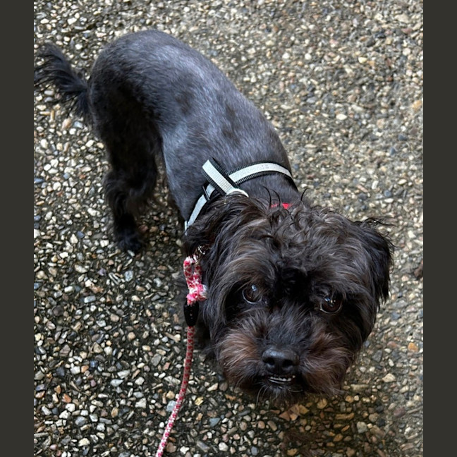 Photo of Freya
