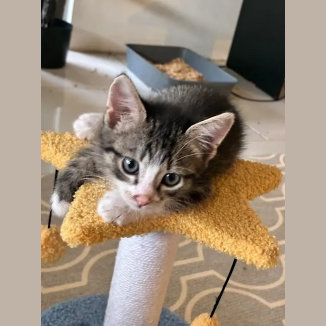 Photo of Bumble