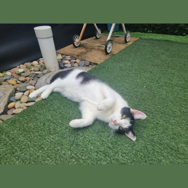 Photo of Ghosty