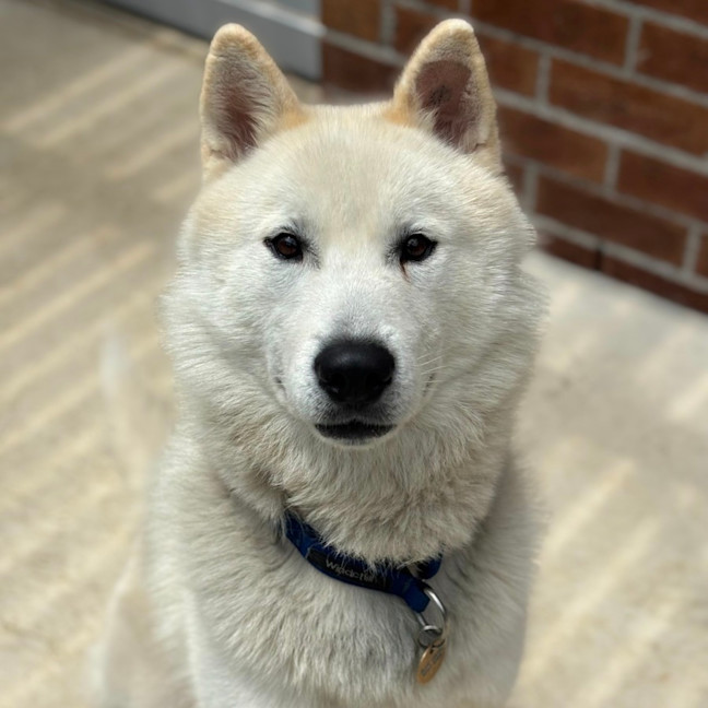 Photo of Max