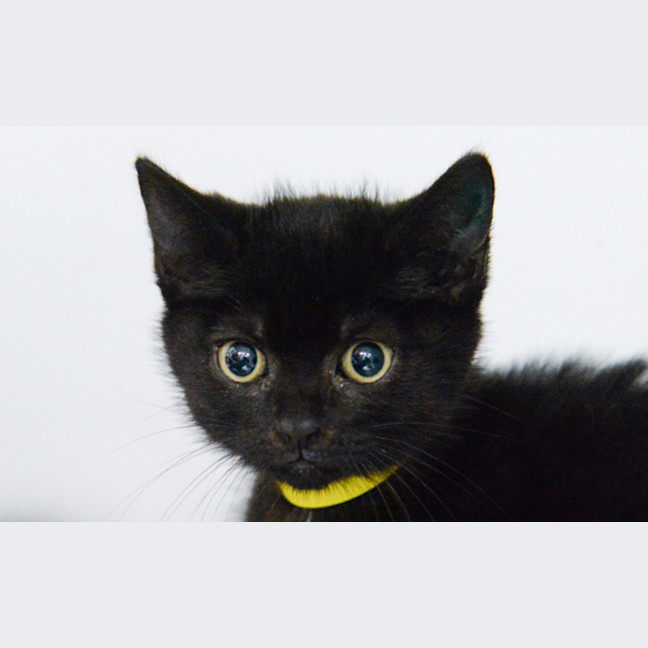 Photo of Mimi