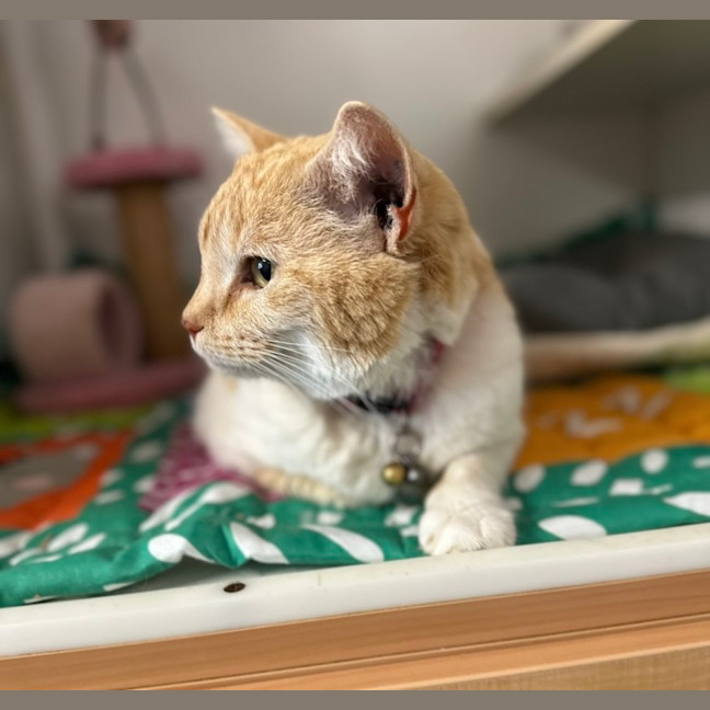 Photo of Mia