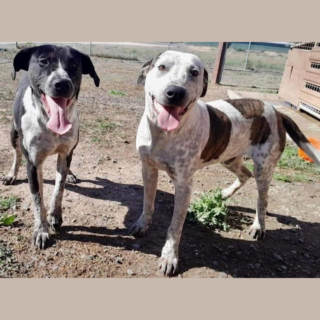 Photo of Anita Wiglet