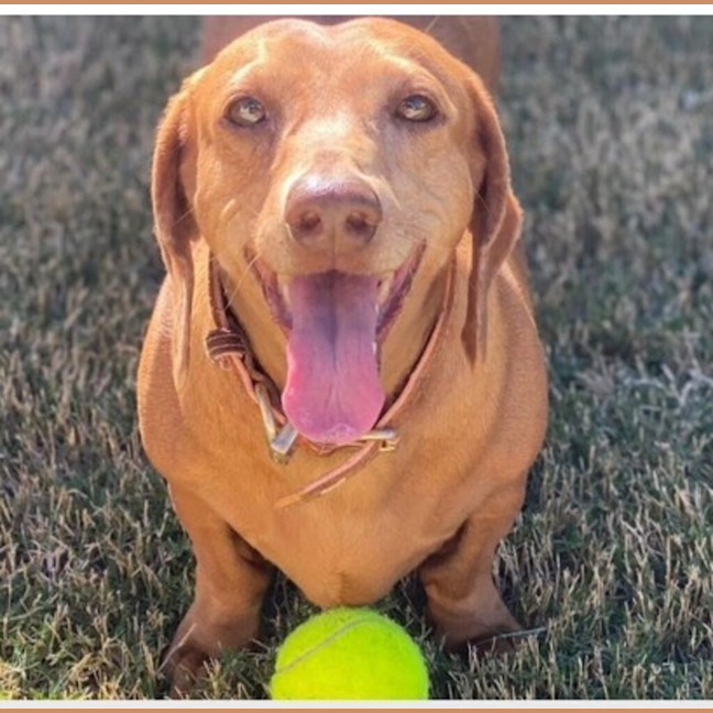 Photo of Alfie