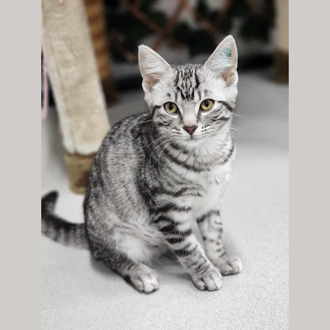 Photo of 🍰 Jam 5775 🍰