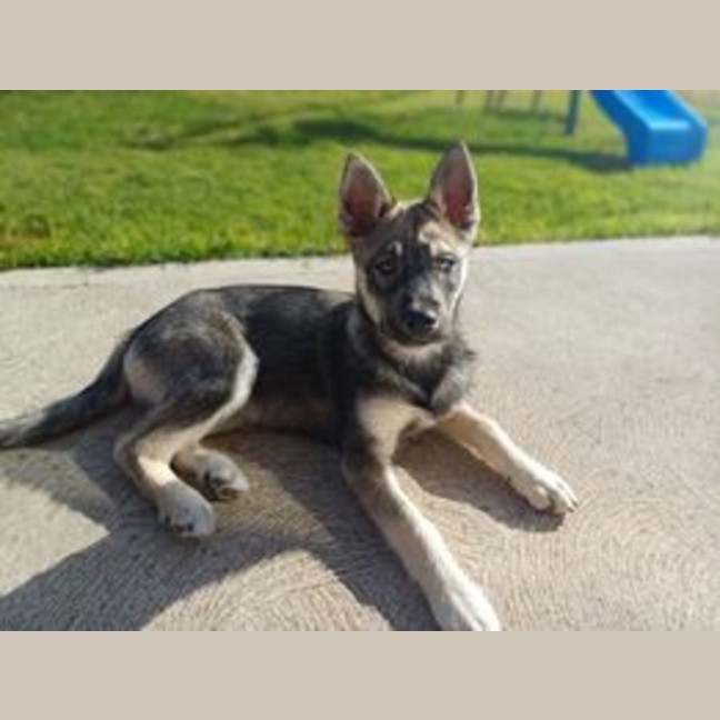 Photo of Judd Nelson