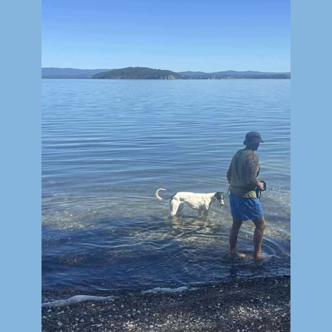 Photo of Perdita, The Greyhound