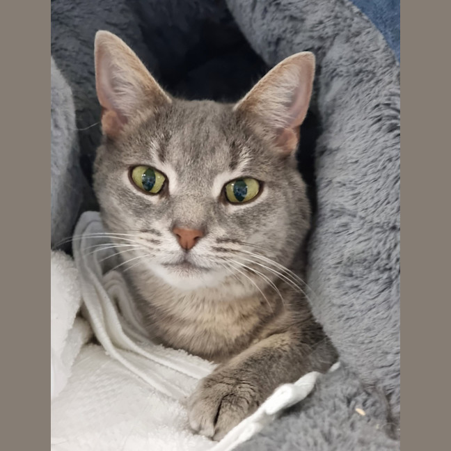 Photo of Tia